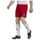 Adidas Ανδρικό σορτς Entrada22 Shorts